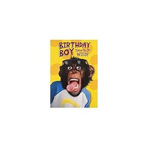 Hallmark Carte d'anniversaire pour gar&ccedil;on - Motif de singe photographique amusant