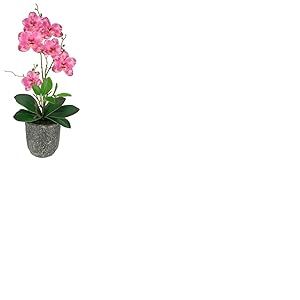 Fleur artificielle papillon orchid&eacute;e avec feuilles et racines a&eacute;riennes dans un pot en c&eacute;ramique fleur artificielle orchid&eacute;e phalaenopsis avec pot plante artificielle d&eacute;coration mariage fleur en soie