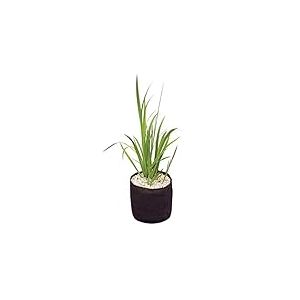 Velda Plant Basket 15 x 15 cm (50)