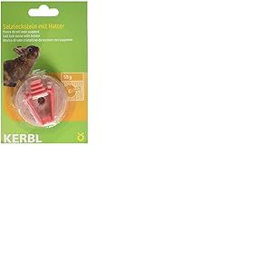 Kerbl Petits Animaux Sel &agrave; L&eacute;cher avec Support 50 g