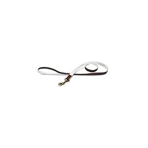 Lotte Laisse en Nylon Marron 20 mm x 120 cm