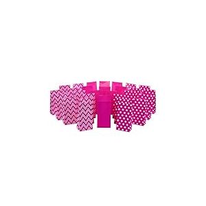 Hallmark Lot de 5 sachets à friandises Couleurs Unies Arc-en-Ciel Assortis (30 carats, 5 de chacun de Bleu, Rouge, Vert, Jaune, Orange, Rose) Lunch Rose