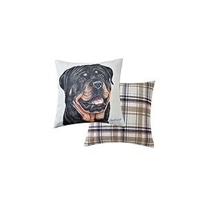 Maturi Coussin de siège rempli avec Image Aquarelle de Chien Rottweiler, Coussin de Chaise, canapé – 43 x 43 cm