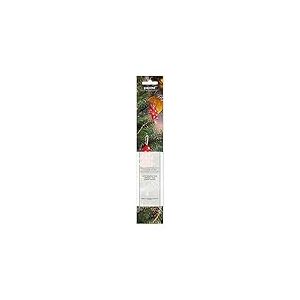 Pajoma 44809 wintermärchen encens
