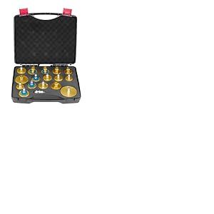 VEVOR Kit Purge maître-Cylindre de Frein, 17 pcs, Ensemble d'adaptateurs de Purge de Frein, avec kit Complet et poignée, Professionnel et Durable, pour Remplissage du Liquide de Frein des véhicules