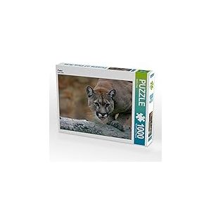 CALVENDO Puzzle Puma 1000 Pieces 64 x 48 cm from Martina Berg