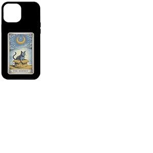 The Hermit Tarot Card in Box Mystic Funny Cat in Box Coque pour iPhone 12 Pro Max