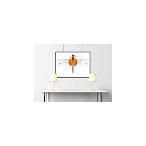 Auhagen Plaques en Plastique 52410 (L x l) 200 mm x 100 mm H0, TT