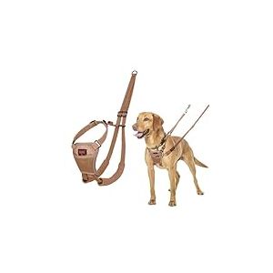 Harnais Anti-Traction HALTI - pour Que Votre Chien arr&ecirc;te de Tirer sur sa Laisse, Sangle de poitrail et des Pattes Avant rembourr&eacute;e, Harnais pour Chiens de Taille Moyenne (Taille M, Sable du D&eacute;sert)