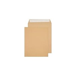 Blake Everyday | enveloppe (27 x 21.6cm) | lot de 250 unités | 120 GSM | enveloppe kraft manille avec bande autocollante | pack múltiple papeterie | Modèle 3221PS