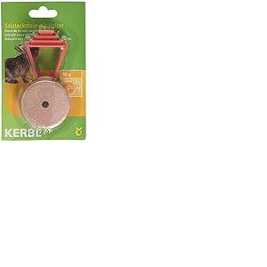 Kerbl Petits Animaux Sel à Lécher avec Support 80 g