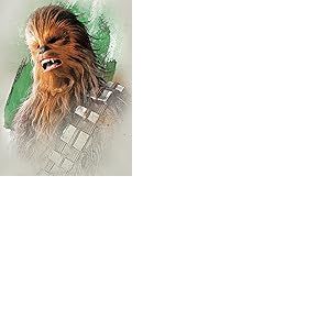 Star Wars WDC100191 Toile Imprim&eacute;e, Multicolore, 60 x 80 cm