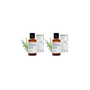 BIO - Huile essentielle ROMARIN À CAMPHRE - 30mL - 100% Pure, Naturelle, Chémotypée et Certifiée AB - AROMA LABS (Marque Française) (Lot de 2)