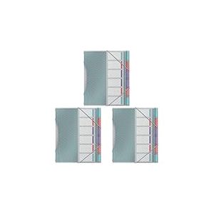 Esselte - Trieur &agrave; 6 Compartiments pour Documents A4, Pochettes en Plastique Transparent, Maison/Bureau, Motif Textur&eacute;, Gamme Colour'Breeze, Multicolore, 626255 (Lot de 3)