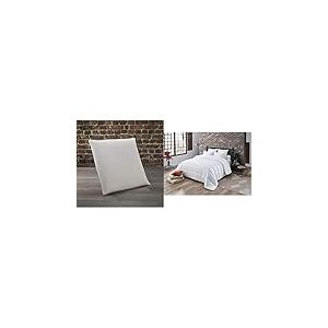 Dodo | Oreiller Végétal à Mémoire de Forme 60x60 | Maintien des Cervicales | Taie déhoussable et Lavable à 40°c & Couette Tempérée Anti-acariens Blanc 240 x 220 cm | pour lit 2 Personnes