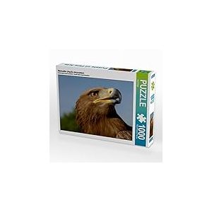 CALVENDO Puzzle Aigle Royal (Aquila chrysaetos) 1000 Pieces 64 x 48 cm from Axel Hilger