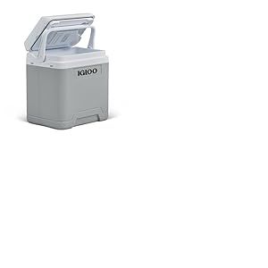 IGLOO IE27 DC glacière électrique, 27 litres, Mini-réfrigérateur avec Connexion 12V pour Voiture, Bateau et Loisirs, Gris.
