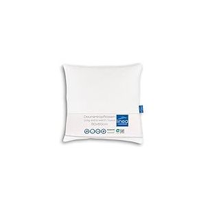 Böhmerwald Luxus Oreiller, Rembourrage Duvet Housse : 100% Coton, Blanc, 1 Stück (1er Pack)
