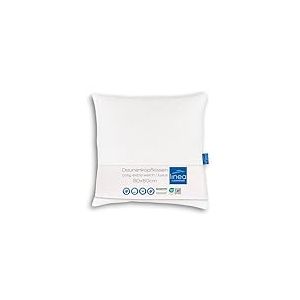 Böhmerwald Luxe Oreiller, Rembourrage Duvet Housse : 100% Coton, Blanc, 1 Stück (1er Pack)