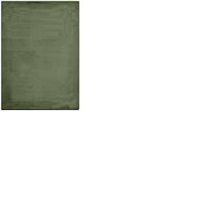 -LUXOR- living Coste - Tapis Moelleux en Fourrure synth&eacute;tique pour Chambre &agrave; Coucher - Id&eacute;al pour Une Utilisation comme Descente de lit - Tapis Confortable en Fourrure d'agneau - 160 x 230 cm - Vert