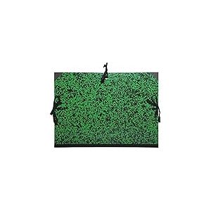 Exacompta - Réf. 532600E - 1 carton à dessin Annonay - avec rubans tissu - dos et coins toilés - dimensions 47 x 62 cm - format à classer A2 (420 x 594 mm) - couleur vert