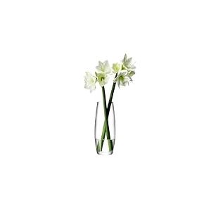 LSA International - Vase soliflore, Verre, claire, H41cm