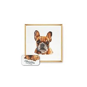 Trimits Grand kit de point de croix personnalisé pour adultes débutants, décoration murale pour amoureux des animaux, propriétaires de chiens,11 points,36 x 36 cm, bouledogue français cadre non inclus