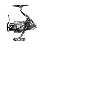 Reel Twin Power FE - C3000XG