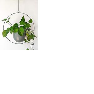 RISEON Pot de Fleurs bohème en métal Vert - Pot de Fleurs Moderne à Suspendre au Mur et au Plafond - Pot de Fleurs du Milieu du siècle - Pot de Fleurs Minimaliste pour intérieur et extérieur