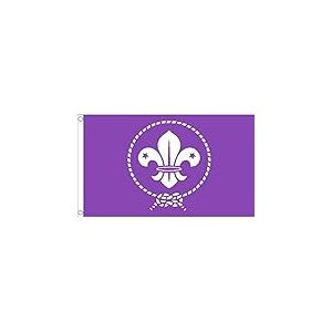 AZ FLAG - Drapeau Scouts Violet - 90x60 cm - Drapeau Du Scoutisme 100% Polyester Avec Oeillets Métalliques Intégrés - Pavillon 50 g