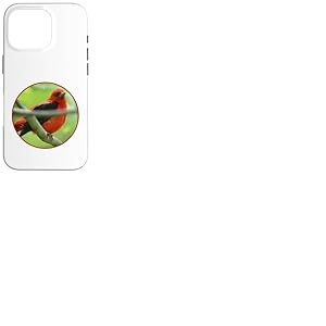 Photographie colorée de tangara écarlate motif oiseau Coque pour iPhone 16 Pro