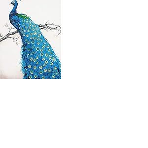 Diamond Dotz Bleu Peacock Kit de Peinture au Diamant, Résine, Blanc, 60 x 84cm