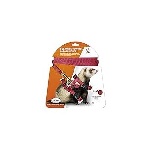 ICA Kit Harnais et Sangle pour Furets (DA970) Rouge