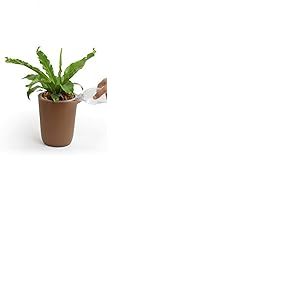 QUALY Oasis QL10307-BN-GY Pot de Fleurs Rond avec syst&egrave;me d'auto-Irrigation Marron Taille S