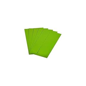 Raylu Paper - Lot de 20 Enveloppes Colorées avec Fermeture Adhésive, Enveloppes de Couleur pour Lettres, Cartes Postales, Faire-Parts, Carte de Voeux, Taille DL 110 x 220 mm (Vert Clair)