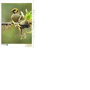 CALVENDO Puzzle Tangara &agrave; Front Blanc (Tangara lunigera) 1000 Pieces 48 x 64 cm from Armin Brockner