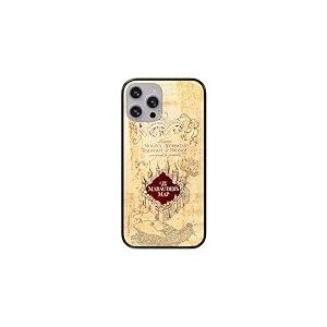 ERT GROUP Coque de téléphone Portable pour Apple Iphone 13 Pro Max Original et sous Licence Officielle Harry Potter Motif Harry Potter 073 en Verre trempé, Coque de Protection