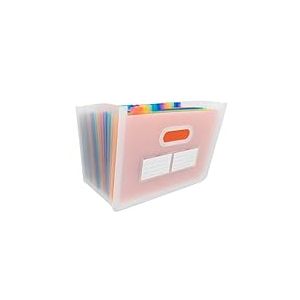 Idena 11125 - Porte-documents A4 en plastique, chemise à compartiments en transparent avec 24 compartiments de couleur, trieur flexible, étiquettes d'identification incluses