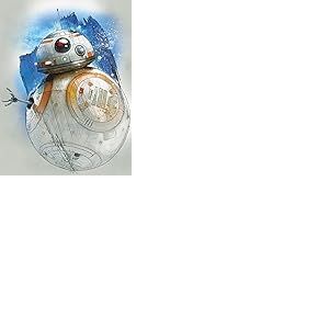 Star Wars WDC100190 Toile Imprim&eacute;e, Multicolore, 60 x 80 cm