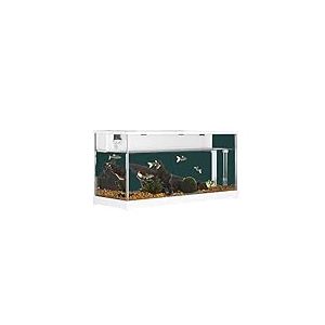 Aquarium Rectangulaire en Acrylique avec SystèMe De Filtration Circulante Et Pompe à Eau Silencieuse pour Poissons Rouges, Petits Poissons Et DéCoration De Bureau à Domicile, 37.9x14.4x18.2cm