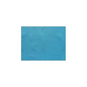 García de pou Sets De Table ''Spundbond'' 60 G/M2 30X40 Cm Turquoise Pp - 200 unités