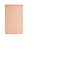 Estoralis | Robert | Store Enrouleur Moderne | sans Outil Tissu Tamisant | Orange | 70 x 195 cm (Largeur/Hauteur) Taille du Tissu 67 x 190 cm | Stores pour fenêtres et Portes