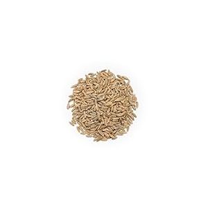 BONGIOVANNI FARINE E BONTA' NATURALI 1 kg de grains de seigle bio