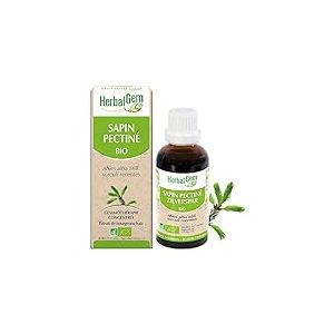 HERBALGEM - Macérât-Mère - Sapin Pectiné Bio - Complément Alimentaire Gemmothérapie Concentrée - Extrait De Bourgeon Frais - Pour Santé Osseuse - Vegan - 30 ml