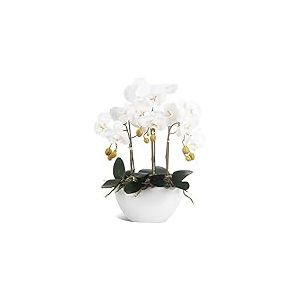 Ziwon Orchidée Artificielle en Pot dans Un Pot en céramique, orchidée phalaenopsis Blanche pour Centre de Table, Fausse Fleur réaliste dans Un Vase pour la Maison, Le Bureau, l'intérieur