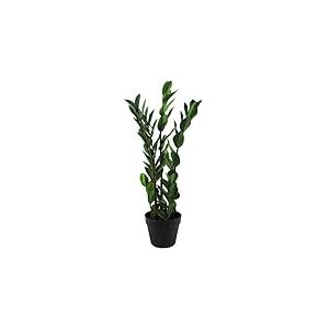 Botanik Zamioculcas Zamioculcas Plante Artificielle d'intérieur 75 cm