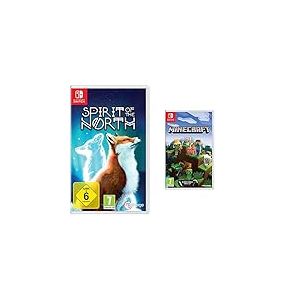 Spirit of the North & Minecraft switch standard