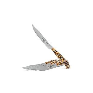 Giesser depuis 1776 - fabriqu&eacute; en Allemagne - Set de 4 couteaux &agrave; steak Spicy Orange, lame 12 cm, PremiumCut Steak No 1, acrylique, exotique, inoxydable, couteau &agrave; griller allemand tranchant