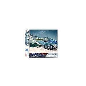 Figured’Art Diamond Painting Broderie Diamant 40x50cm Toile Entière Roulée avec Strass Perles Carrés - Bouteille de Mer - Kit Complet Paysage 5D DIY Activité Manuelle Loisirs Créatifs Adultes