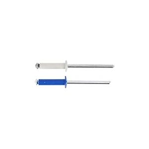 Restagraf - Rivets Épanouis Bleus, Blancs pour Plaques d'Immatriculation - Diamètre 4 mm - Longueur 26 mm - Réf. 225107 - Blister de 8, Gris/Bleu